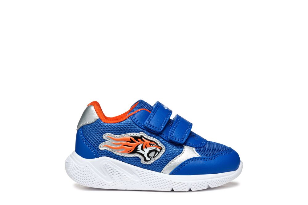Geox Sprintye blue orange lion