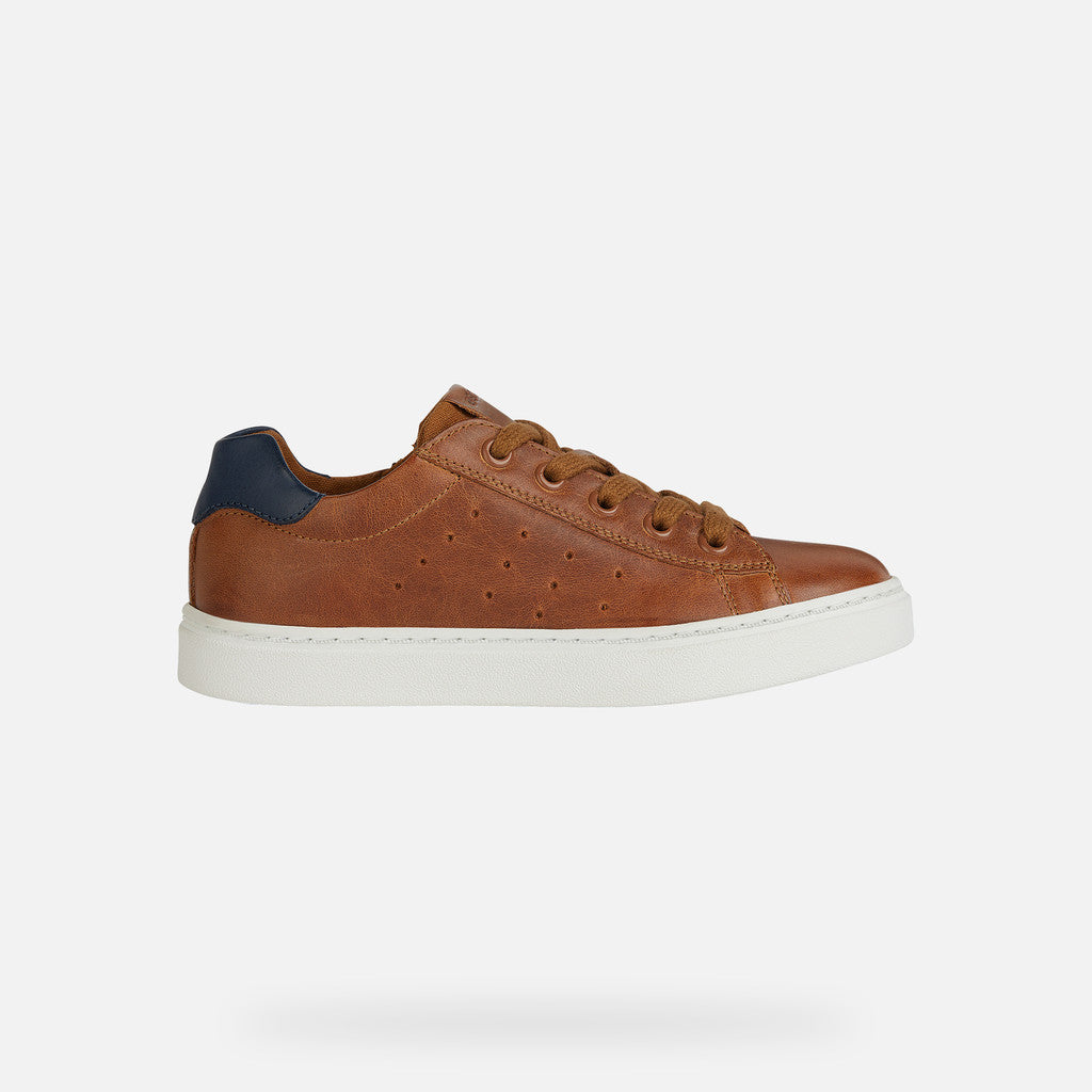 Geox Nashik brown