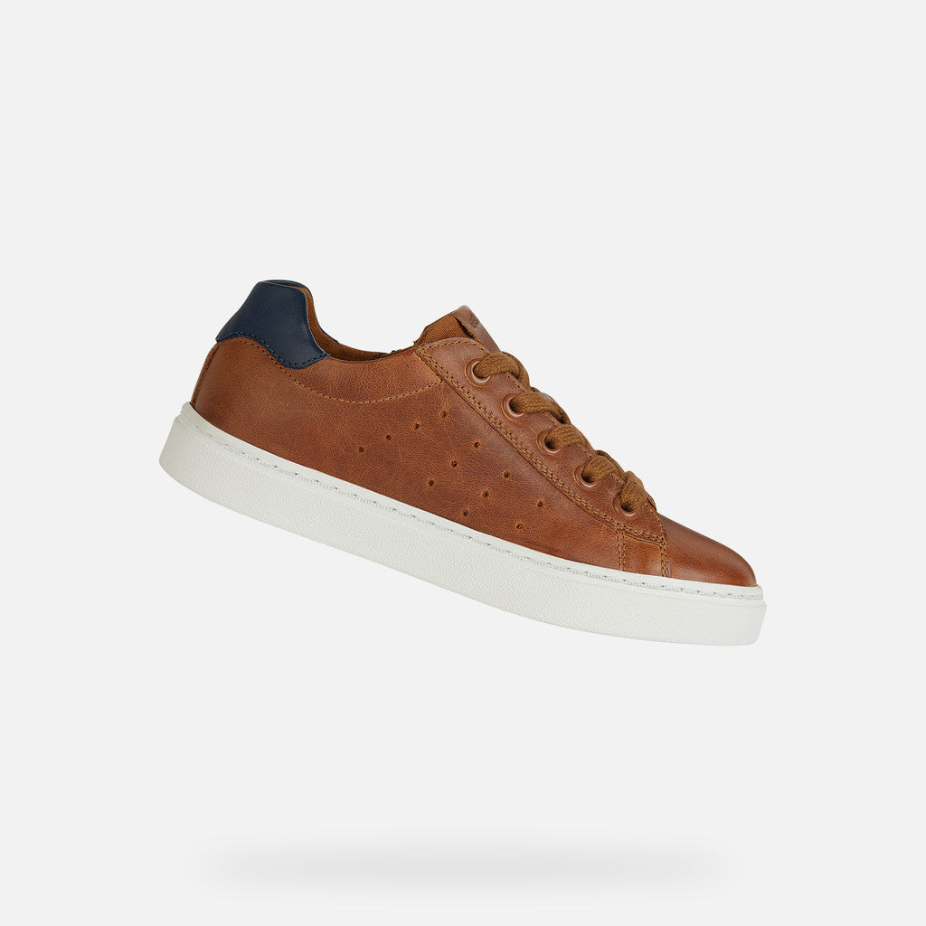 Geox Nashik brown