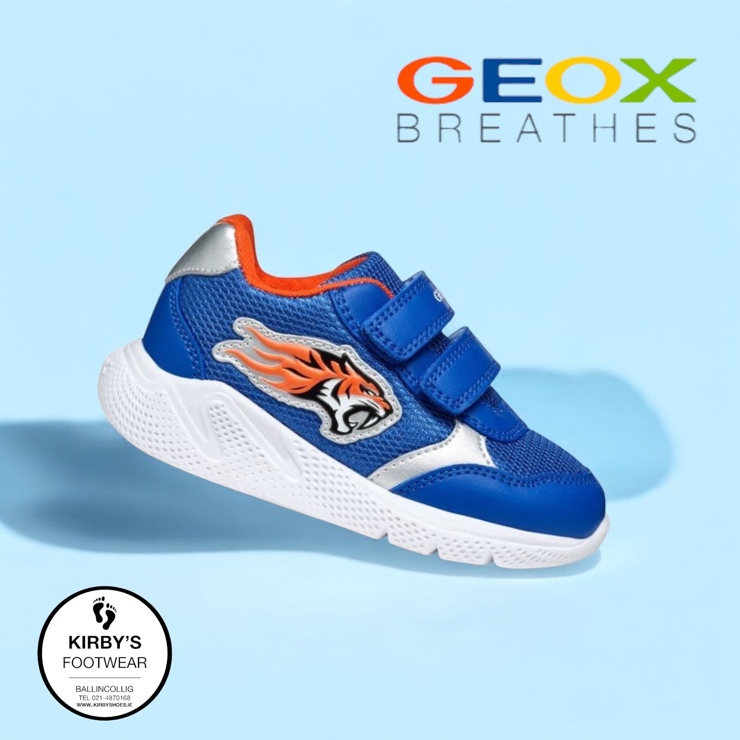 Geox Sprintye blue orange lion