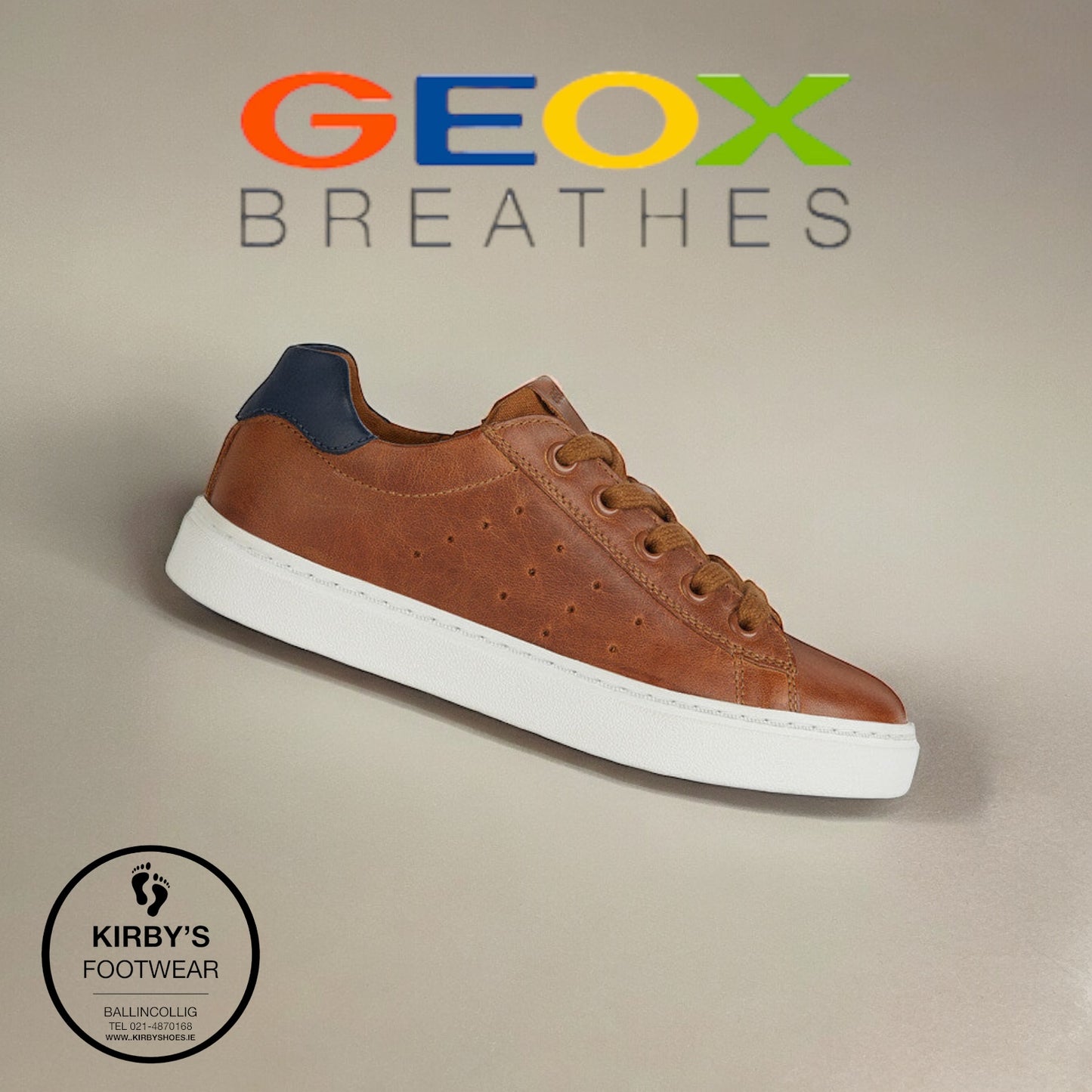 Geox Nashik brown