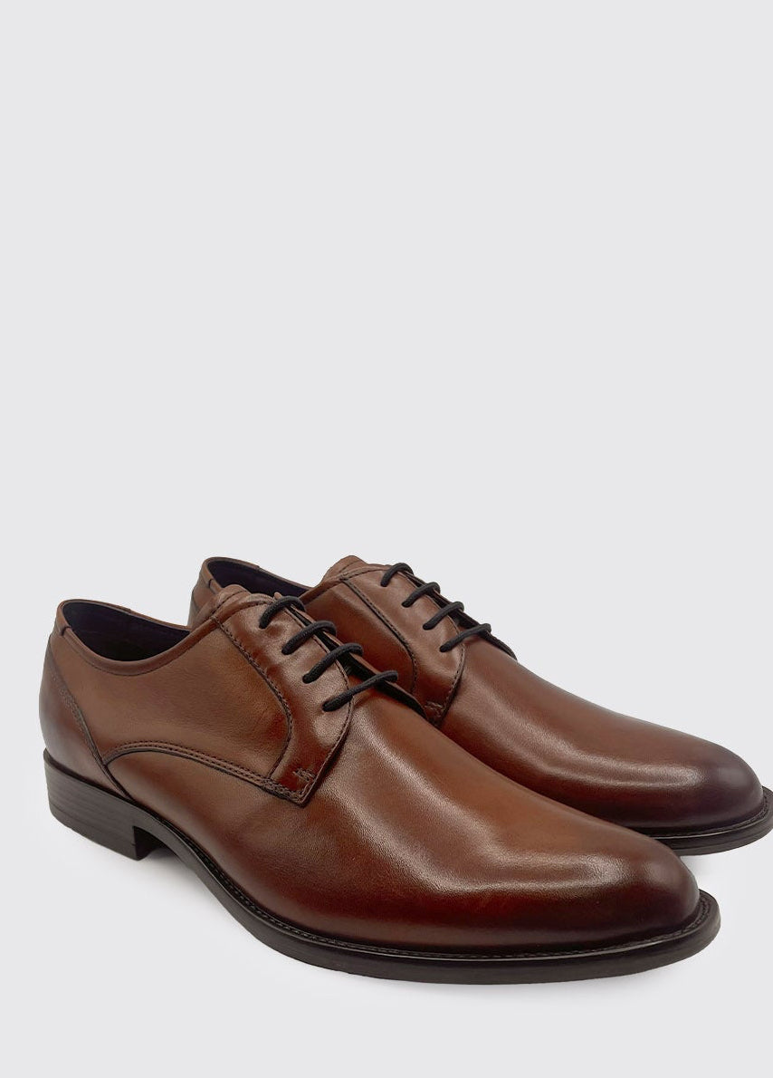 Dubarry Darrel men's brown leather shoe 4890-02