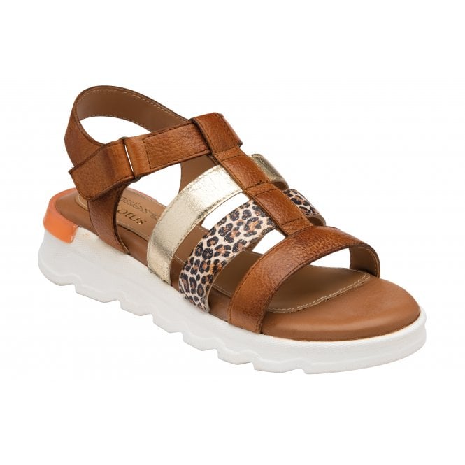 Lotus sandal Shiloh leopard