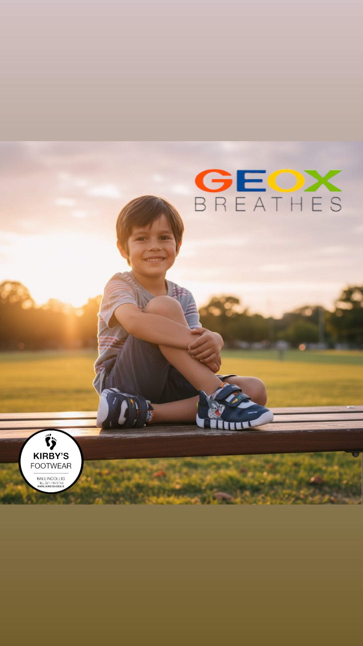 Geox Iupidoo looney tunes velcro navy