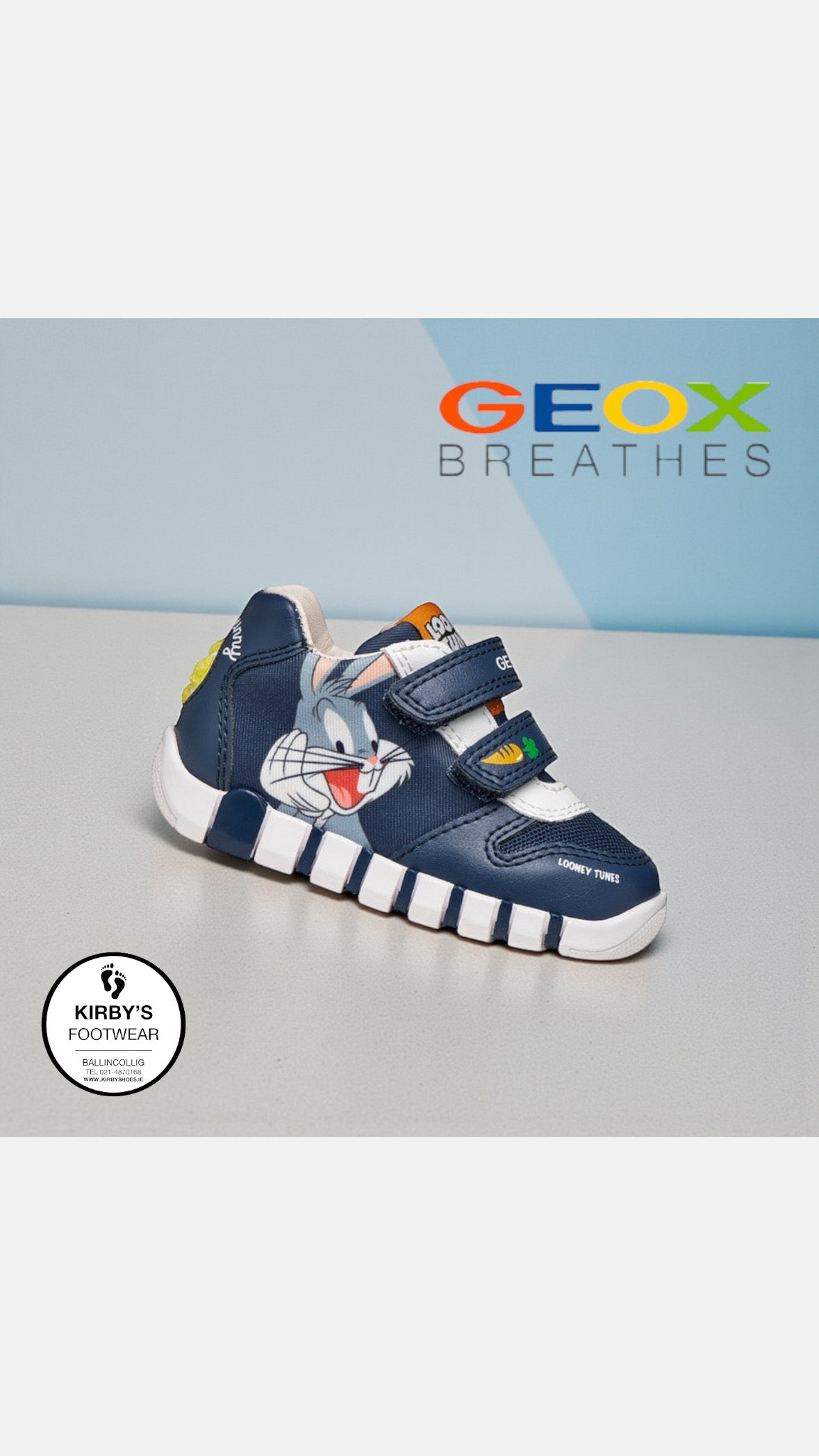 Geox Iupidoo looney tunes velcro navy