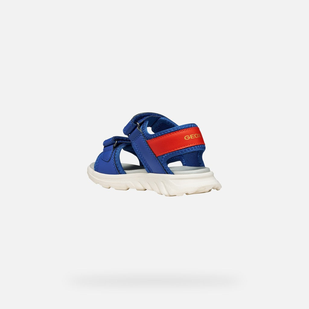 Geox Airadyum football sandal - navy - Kirbys Footwear Ltd