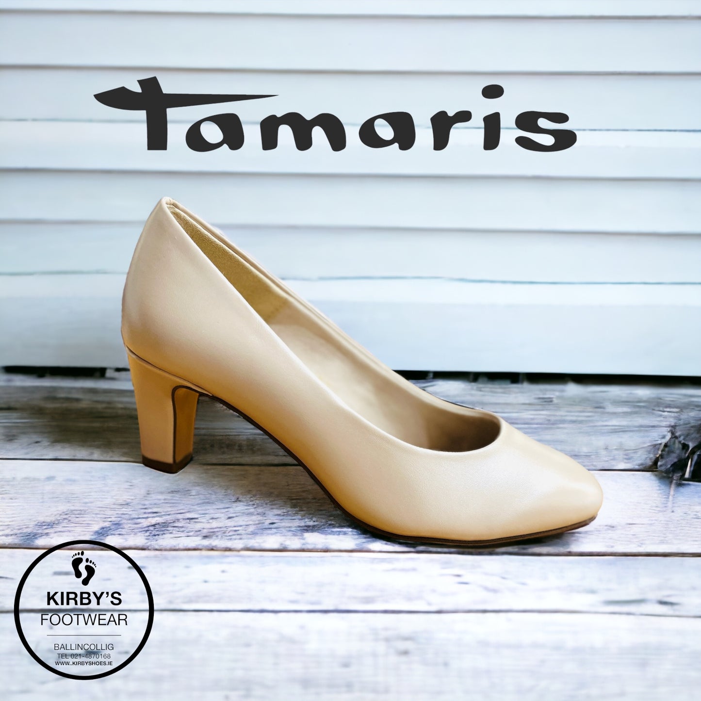 Tamaris court rose pearl