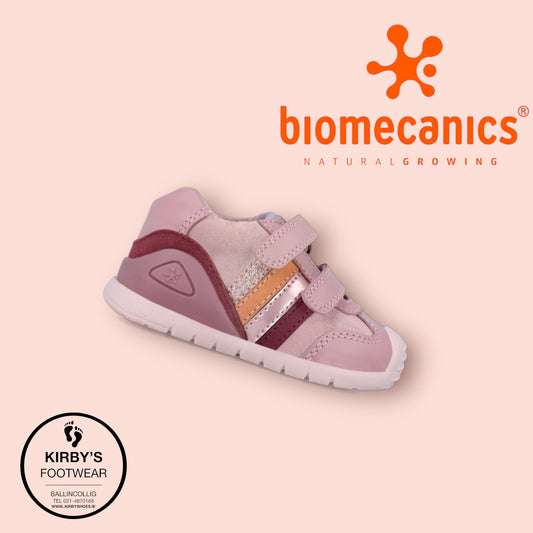 Biomecanics 241110 pink