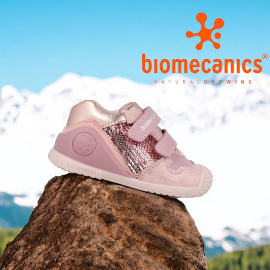 Biomecanics 241104 pink