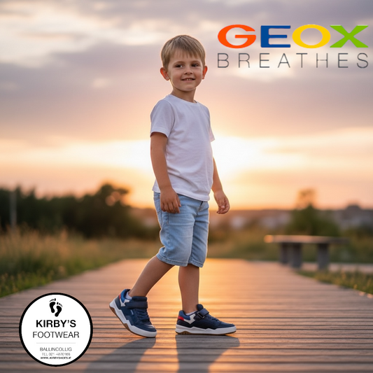Geox Perth trainer velcro navy - Kirbys Footwear Ltd