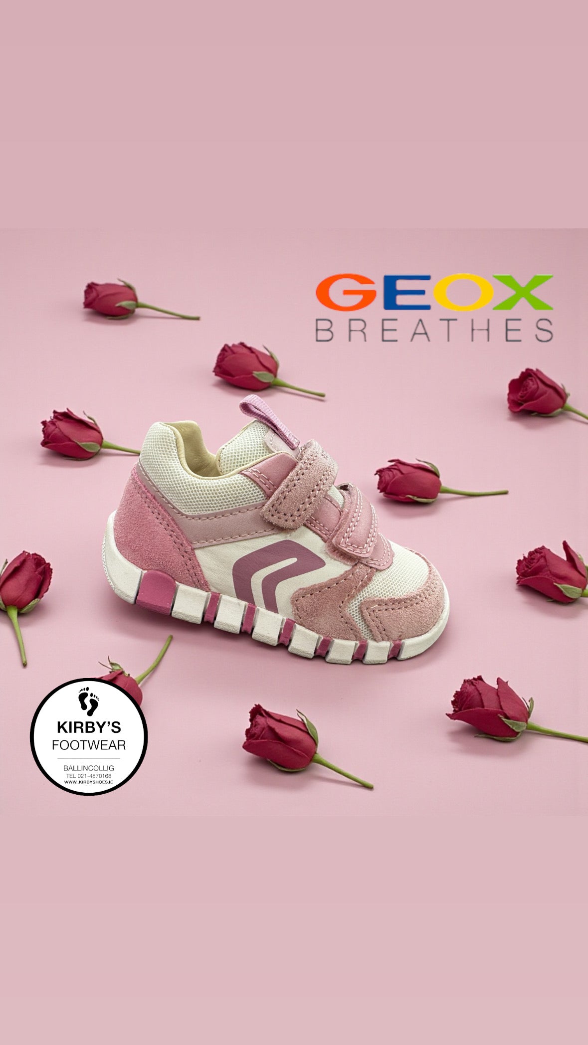 Geox Iupidoo velcro pink white - Kirbys Footwear Ltd