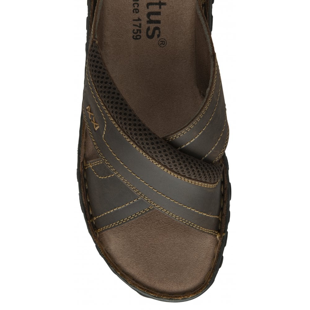 Lotus Mikey mule brown - Kirbys Footwear Ltd