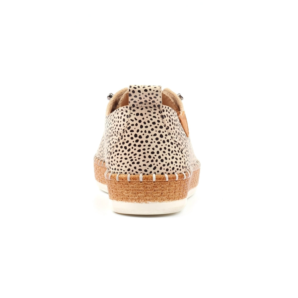 Lunar Evette animal spot plimsole - Kirbys Footwear Ltd