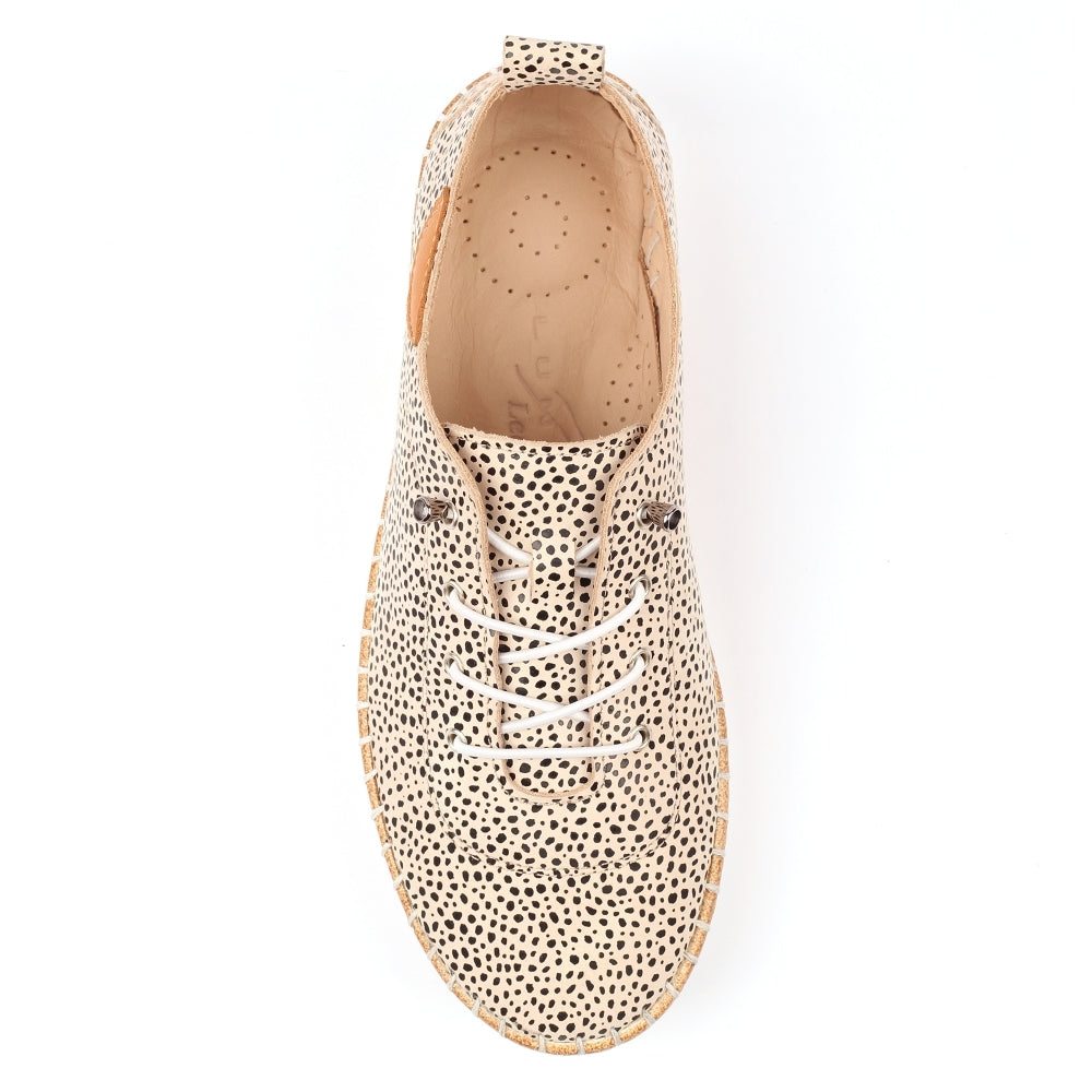 Lunar Evette animal spot plimsole - Kirbys Footwear Ltd