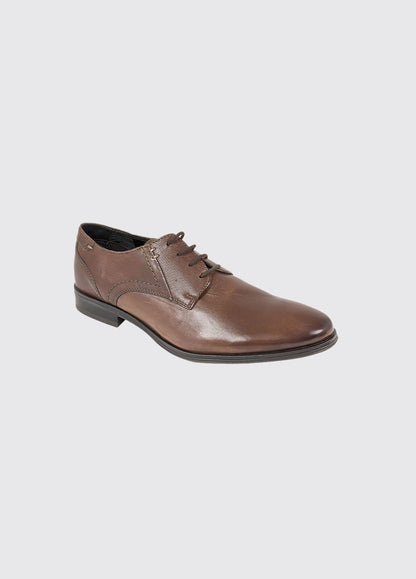 Dubarry Drago brown lace