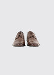 Dubarry Drago brown lace