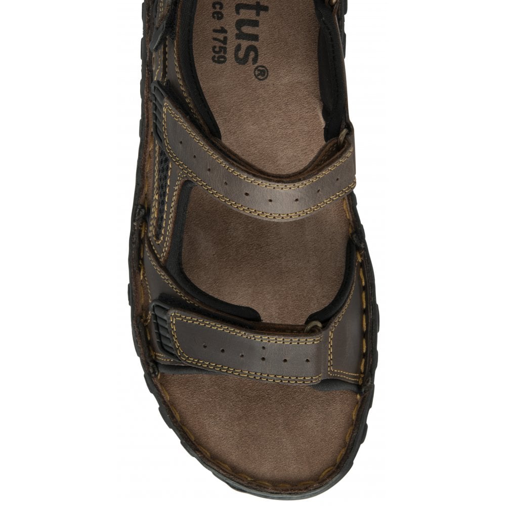 Lotus Noah sandal brown - Kirbys Footwear Ltd