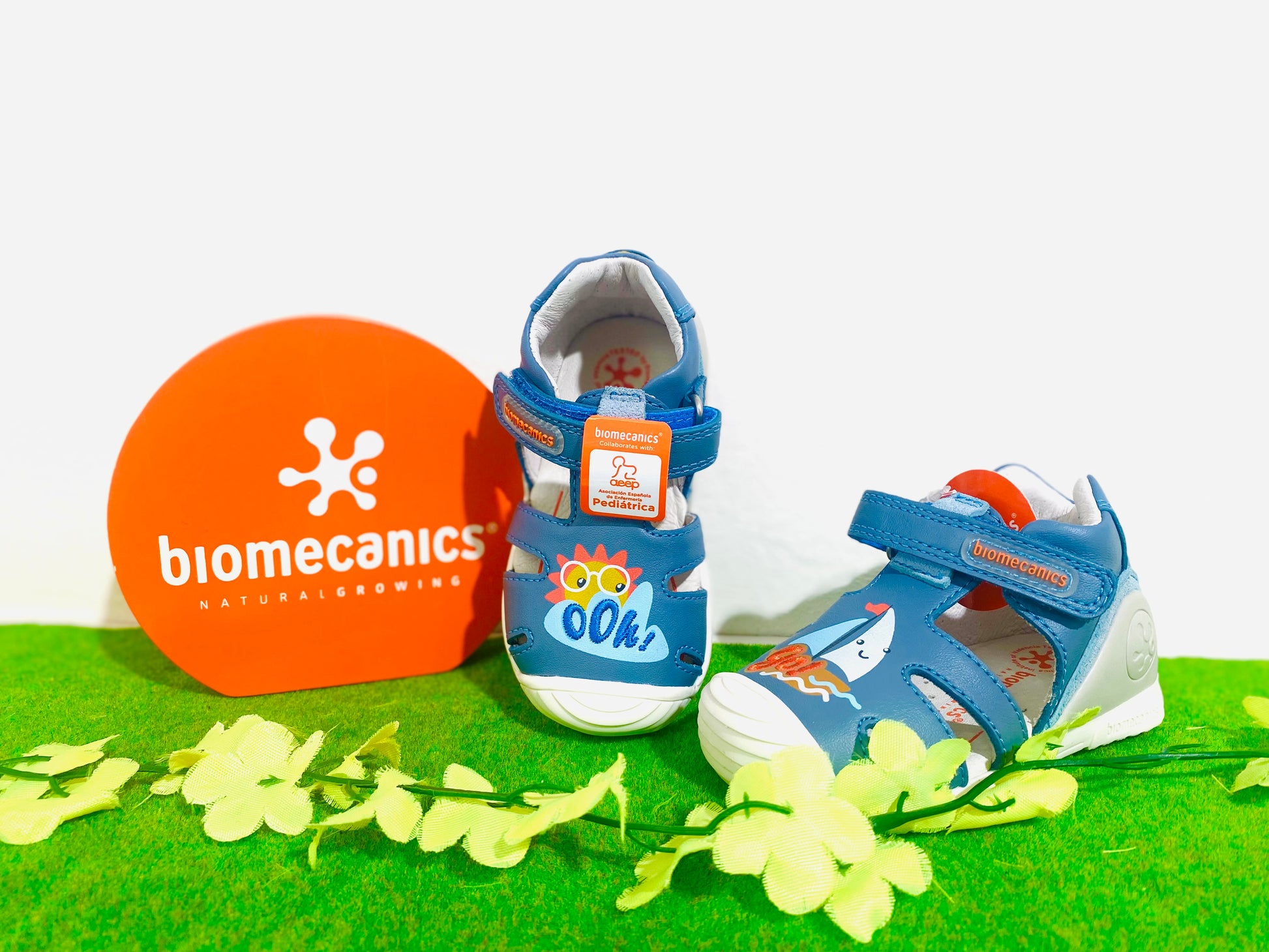 Biomecanics closed sandal 222149 - Kirbys Footwear Ltd