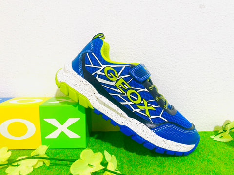 Geox Tuono blue green - Kirbys Footwear Ltd